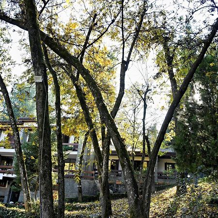 Hotel Restaurant Dreri Тирана Екстериор снимка